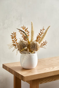 Thumbnail for 37cm Potted Faux Dried Look Mixed Banksia Arrangement
